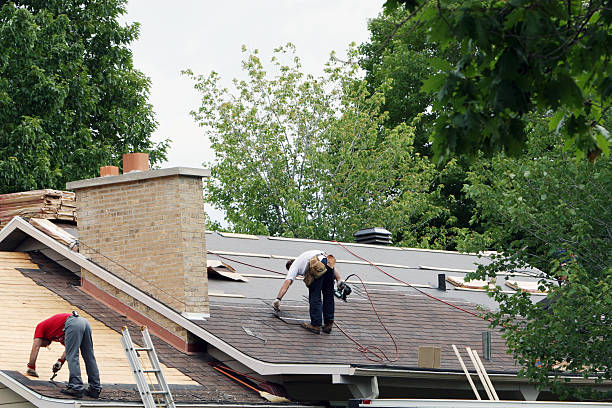 Best Metal Roofing Contractor  in La Crosse, WI